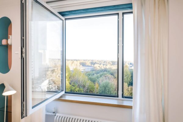 Поворотные окна