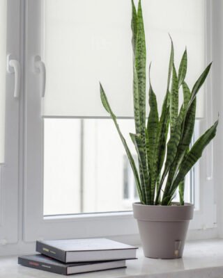 Тканинні ролети закритиого типу