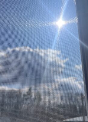 Москітні сітки на вікна